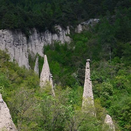 Agritur All'Olivo Faver Экстерьер фото