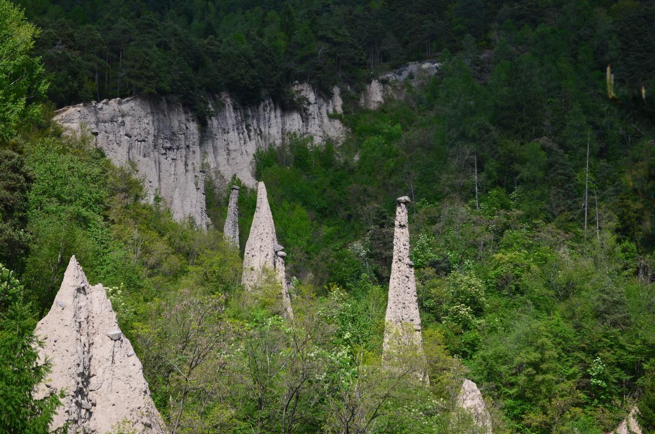 Agritur All'Olivo Faver Экстерьер фото
